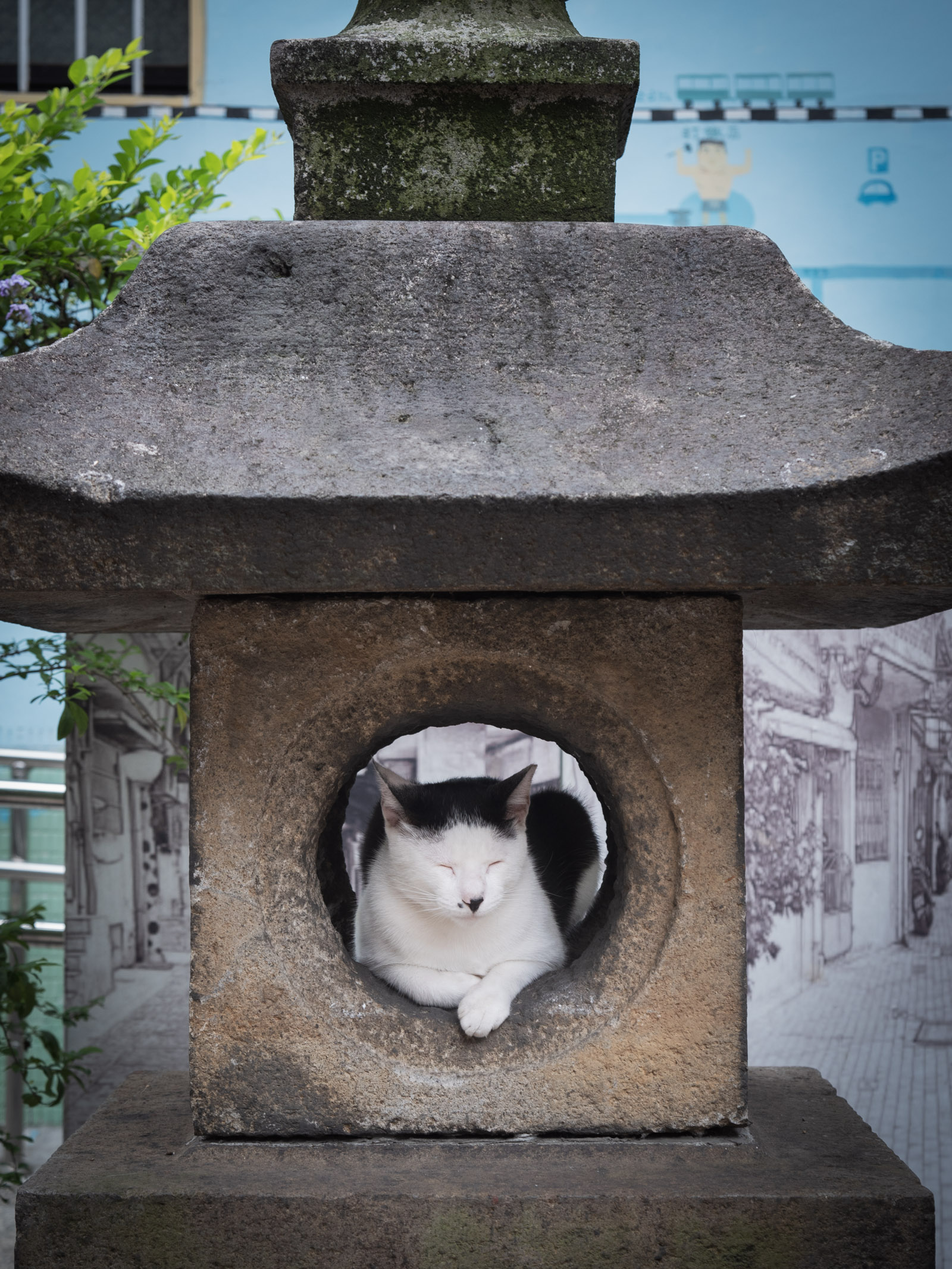 瑞芳駅裏の灯籠にすっぽりはまって涼をとるネコ